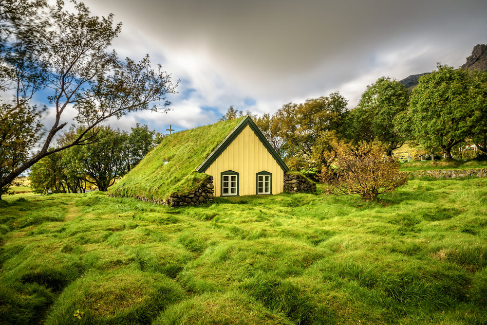 house with grass roof